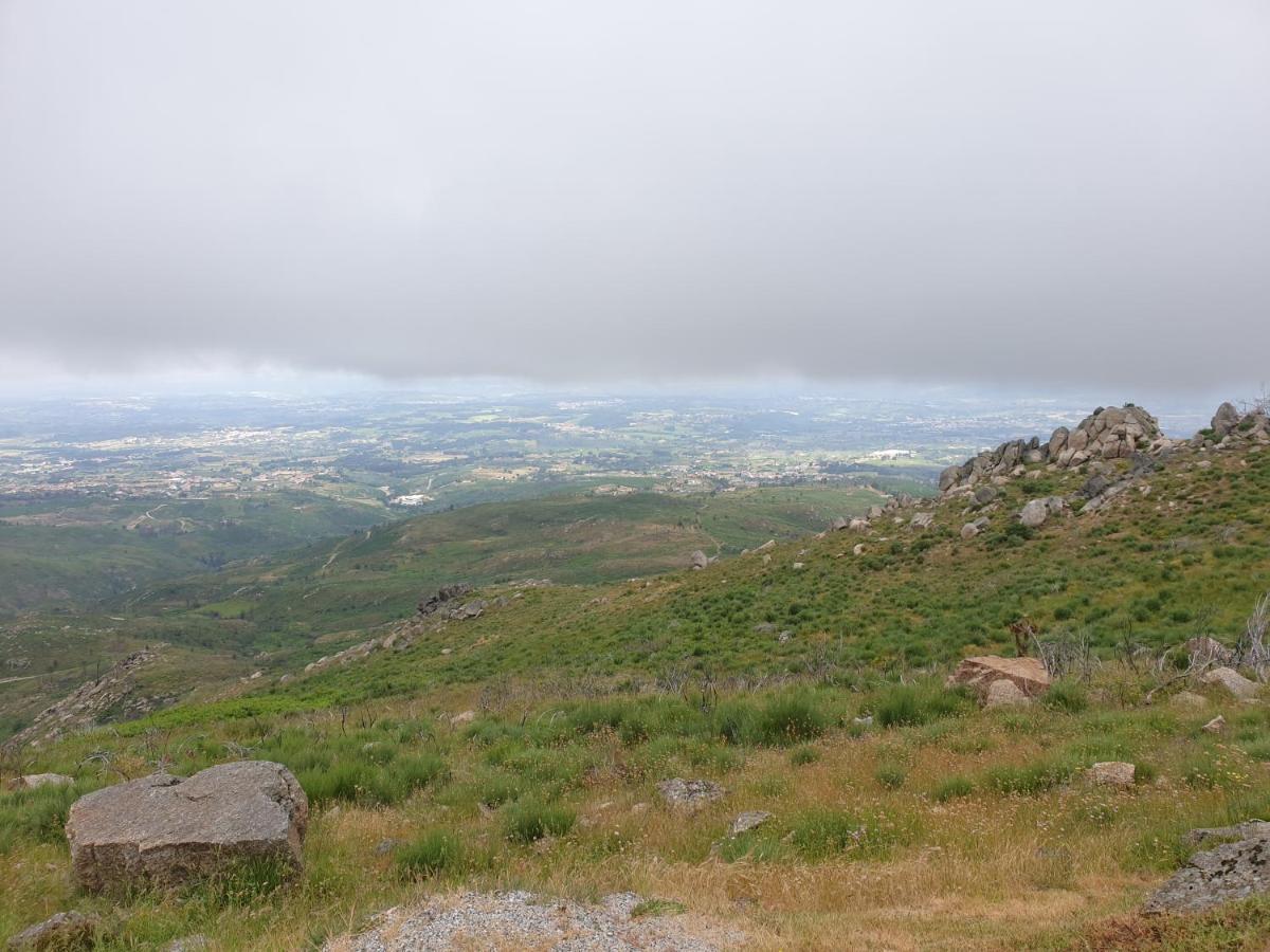 Casa Dos Cisnes - Serra Da Estrela - Sao Paio - Gouveia - Portugal מראה חיצוני תמונה